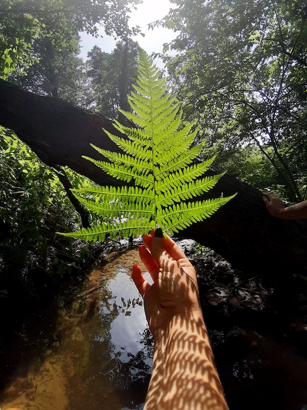 Mit allen Sinnen in die Natur und in den Wald eintauchen.