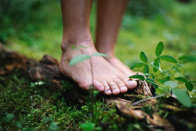 Den Wald mit allen Sinnen entdecken und wahrnehmen beim WAldbaden.