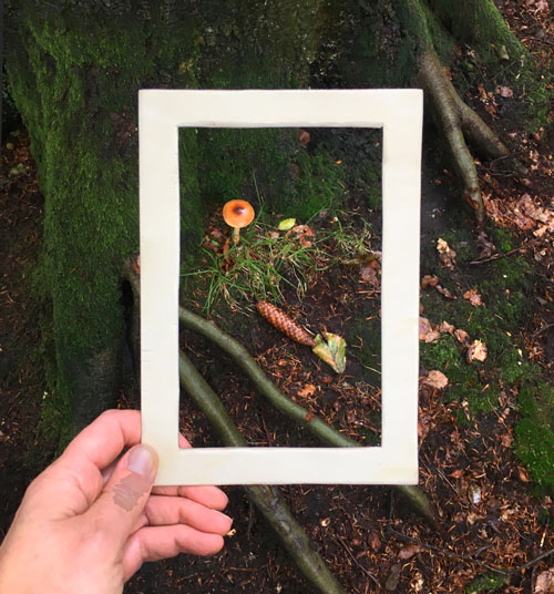 Hand hält Rahmen und entdeckt Details in der Natur.