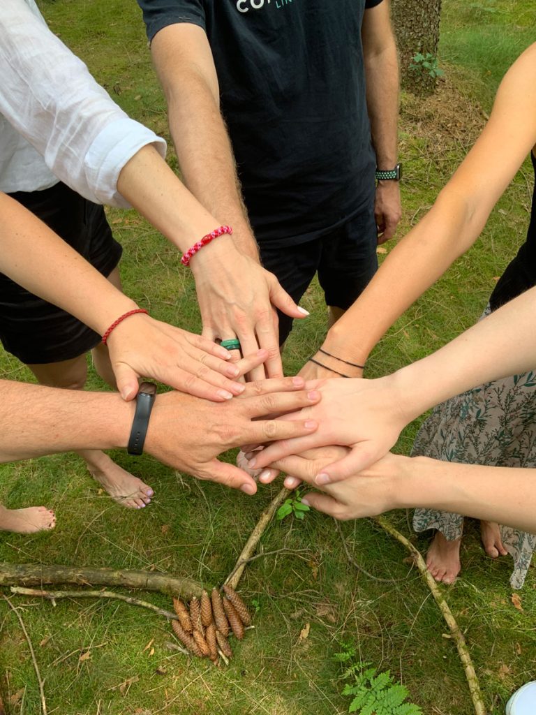 Mitarbeiter erleben einen Teamtag und Teambuilding in der Natur mit waldimpuls-hamburg.