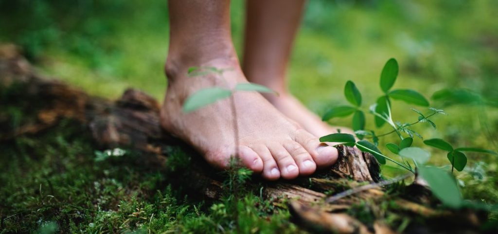 Barfuß stehende Füße auf einem moosbedeckten Waldboden, umgeben von kleinen Pflanzen und einem Stück Holz. Die Szene vermittelt ein Gefühl von Erdung und Naturverbundenheit.