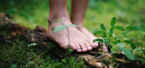Barfuß stehende Füße auf einem moosbedeckten Waldboden, umgeben von kleinen Pflanzen und einem Stück Holz. Die Szene vermittelt ein Gefühl von Erdung und Naturverbundenheit.