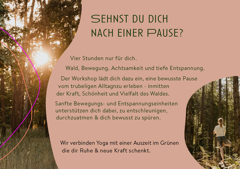 Herbstlicher Wald mit Sonnenlicht. Forest Flow verbindet Yoga und Waldbaden zu einer erholsamen Auszeit in der Natur.