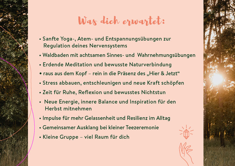 Inhalte des Forest Flow Workshops mit Yoga, Waldbaden, Meditation, Atemübungen, Naturverbindung und Entspannung.